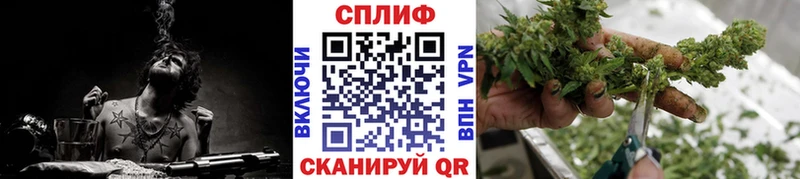 Бошки марихуана гибрид магазин продажи МЕГА зеркало Красный Кут